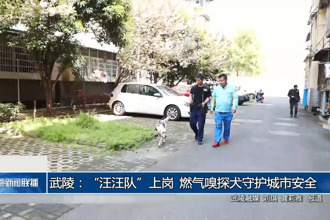 武陵：“汪汪隊”上崗 燃氣嗅探犬守護城市安全