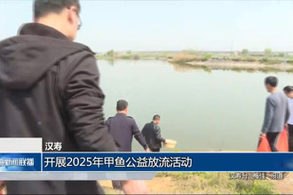 漢壽：開展2025年甲魚公益放流活動