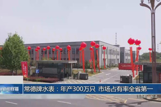 常德牌水表：年產(chǎn)300萬只 市場占有率全省第一
