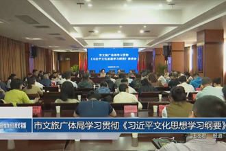 常德市文旅廣體局學習貫徹《習近平文化思想學習綱要》