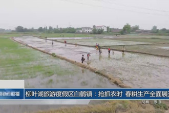 柳葉湖旅游度假區(qū)白鶴鎮(zhèn)：搶抓農(nóng)時 春耕生產(chǎn)全面展開