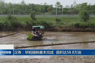 漢壽：早稻插秧基本完成 面積達(dá)58.8萬畝