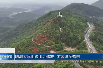 臨澧太浮山映山紅盛放 游客紛至沓來(lái)