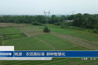 桃源：農(nóng)田高標(biāo)準(zhǔn) 耕種智慧化