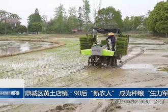 鼎城區(qū)黃土店鎮(zhèn)：90后“新農(nóng)人” 成為種糧“生力軍”