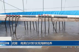 武陵：南美白對(duì)蝦實(shí)現(xiàn)海鮮陸?zhàn)B
