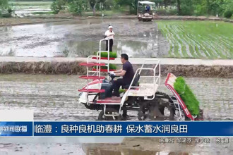 臨澧：良種良機(jī)助春耕 保水蓄水潤(rùn)良田