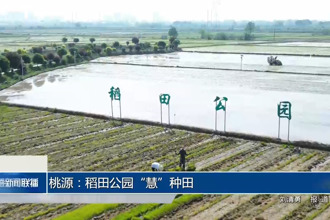 桃源：稻田公園“慧”種田