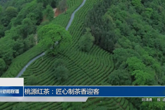 桃源紅茶：匠心制茶香迎客