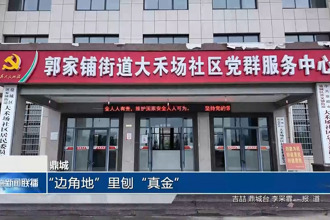 鼎城：“邊角地”里刨“真金”