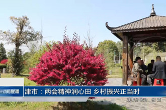 津市：兩會精神潤心田 鄉(xiāng)村振興正當(dāng)時