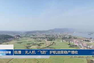 臨澧：無(wú)人機(jī)“飛防”護(hù)航油菜穩(wěn)產(chǎn)增收