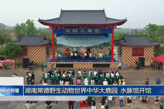 湖南常德野生動物世界中華大鹿園、水豚館開館