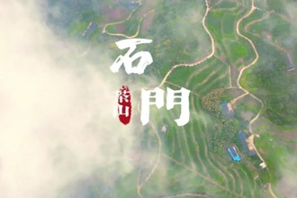 【常來常德 常“游”所得】石門，高山云海覓茶香