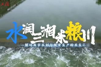 水潤(rùn)三湘米糧川——解碼我市水利與糧食生產(chǎn)的共生之道