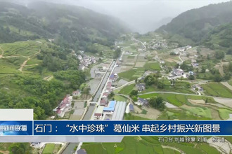 石門(mén)：“水中珍珠”葛仙米 串起鄉(xiāng)村振興新圖景