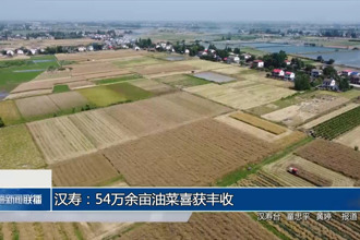 漢壽：54萬余畝油菜喜獲豐收